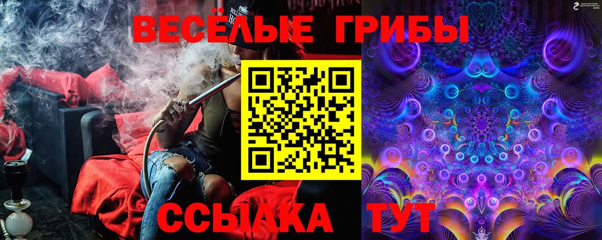 Псилоцибиновые грибы Cubensis Красноперекопск