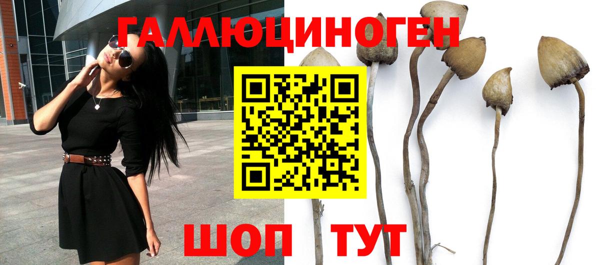 Красноперекопск  Галлюциногенные грибы мухоморы  Вход с VPN 